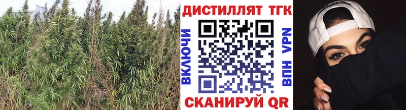 Дистиллят ТГК вейп с тгк  наркошоп  Салават 